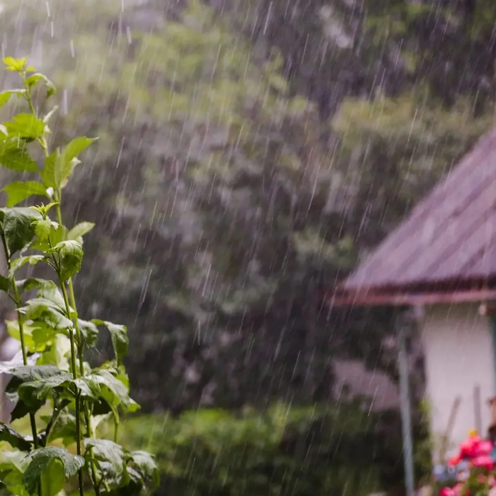 Handmade after rain